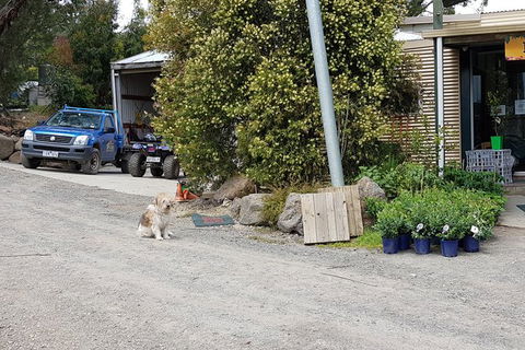 Yarra Valley Wineries And Rayners Orchard Tour From Melbourne - Accommodation Tasmania 8