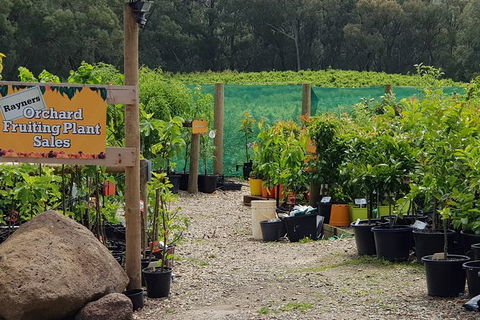 Yarra Valley Wineries And Rayners Orchard Tour From Melbourne - Accommodation Tasmania 0