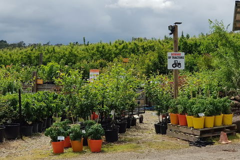 Yarra Valley Wineries And Rayners Orchard Tour From Melbourne - Accommodation Tasmania 22