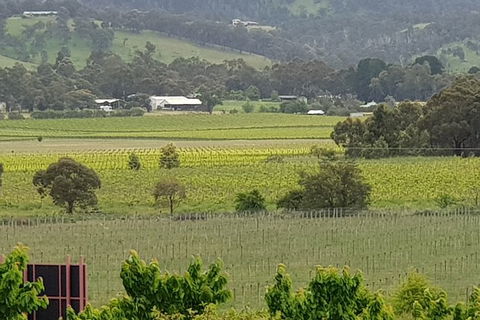Yarra Valley Wineries And Rayners Orchard Tour From Melbourne - Accommodation Tasmania 2