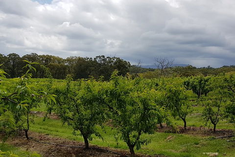 Yarra Valley Wineries And Rayners Orchard Tour From Melbourne - Accommodation Tasmania 18