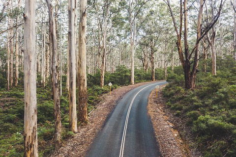 All Inclusive Surf Camp In Margaret River Region - Accommodation Tasmania 2