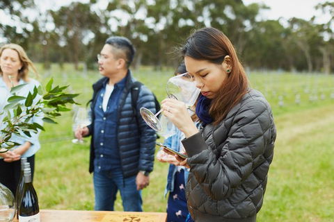 Organic Vineyard/Farm Tour - Accommodation Tasmania 1