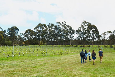 Organic Vineyard/Farm Tour - Accommodation Tasmania 7