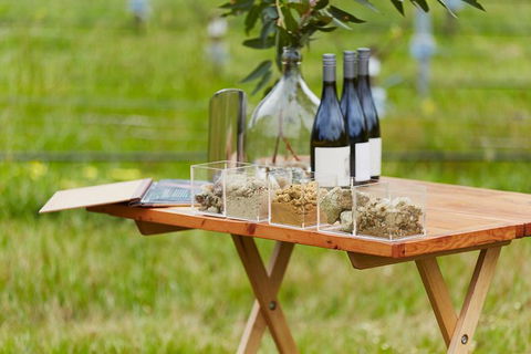 Organic Vineyard/Farm Tour - Accommodation Tasmania 3