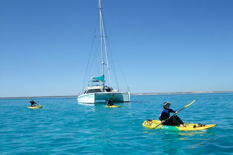 5 Night Ningaloo Reef Ningaloo Escape From Coral Bay - Accommodation Tasmania 0