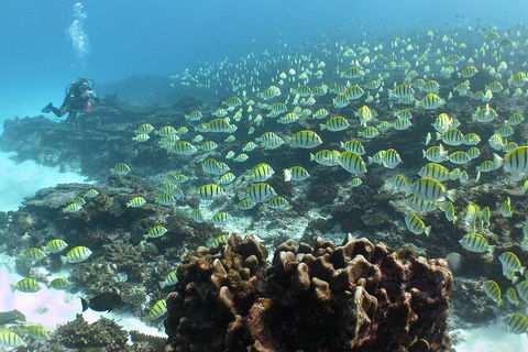 5 Night Ningaloo Reef Ningaloo Escape From Coral Bay - Accommodation Tasmania 5