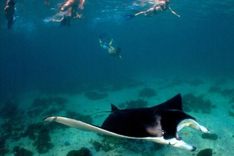 5 Night Ningaloo Reef Ningaloo Escape From Coral Bay - Accommodation Tasmania 1