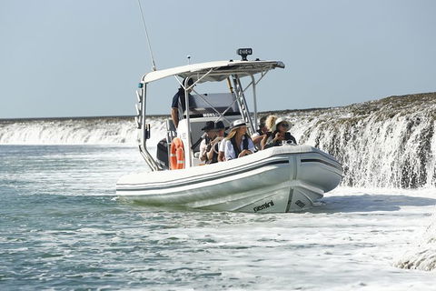 Cygnet Bay Explorer - Accommodation Tasmania 8