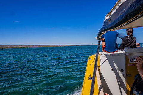 Ningaloo Immersion Private Charter - Accommodation Tasmania 0