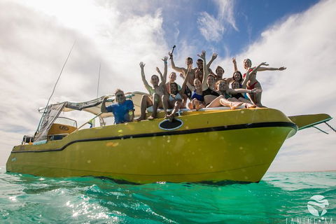 Ningaloo Immersion Private Charter - Accommodation Tasmania 9
