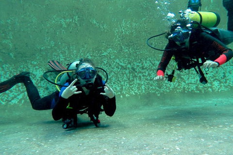 PADI Open Water Course - Accommodation Tasmania 4