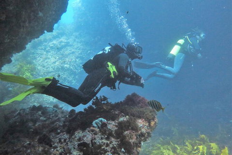 PADI Open Water Course - Accommodation Tasmania 2