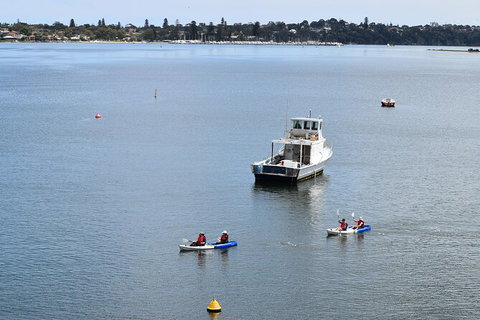 Cliffs And Caves Kayak Tour In Swan River - Accommodation Tasmania 5