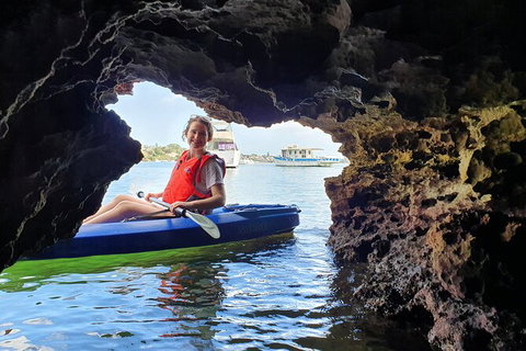 Cliffs And Caves Kayak Tour In Swan River - Accommodation Tasmania 3