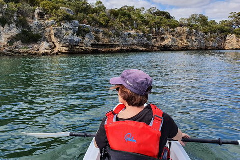 Cliffs And Caves Kayak Tour In Swan River - Accommodation Tasmania 1