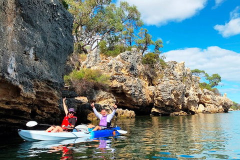 Cliffs And Caves Kayak Tour In Swan River - Accommodation Tasmania 0