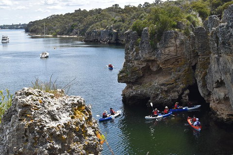 Cliffs And Caves Kayak Tour In Swan River - Accommodation Tasmania 2