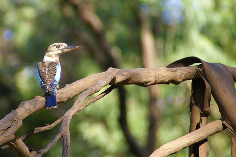 Ord River Experience With Riverside Lunch - Accommodation Tasmania 1