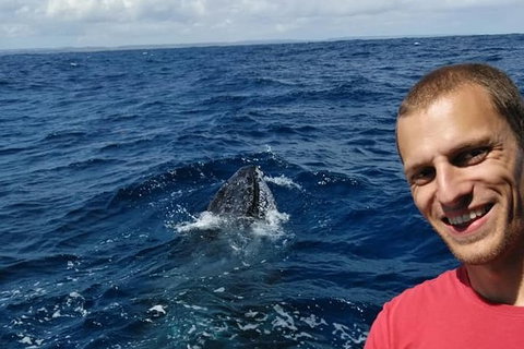 Whale Watching Boat Tour In Geraldton - Accommodation Tasmania 2