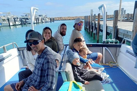 Whale Watching Boat Tour In Geraldton - Accommodation Tasmania 1