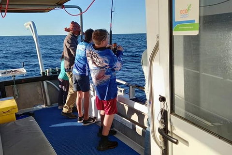 Geraldton Fishing Charter - Accommodation Tasmania 9