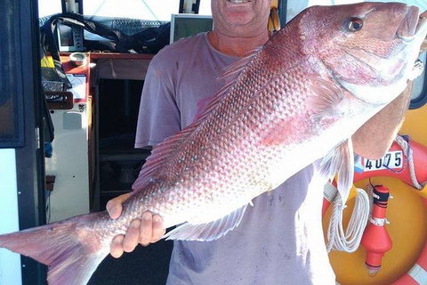 Geraldton Fishing Charter - Accommodation Tasmania 10
