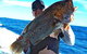 Geraldton Fishing Charter - thumb 4