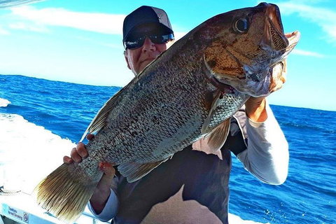 Geraldton Fishing Charter - Accommodation Tasmania 4