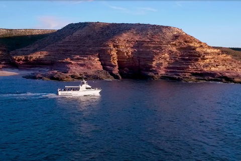 Kalbarri Sunset Coastal Cliff Cruise - Accommodation Tasmania 4