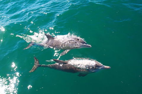 Sailing Kayak Adventure Through The Peel Harvey Estuary - Accommodation Tasmania 1