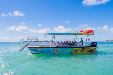 The Island Sandbar Experience - Accommodation Tasmania 5