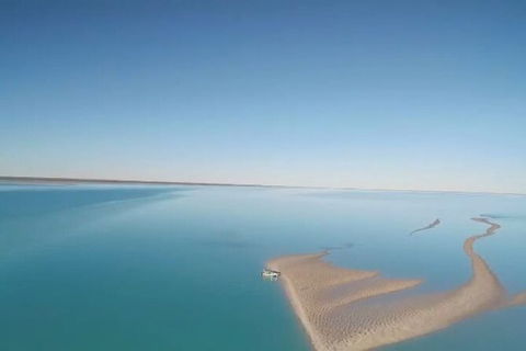 The Island Sandbar Experience - Accommodation Tasmania 7