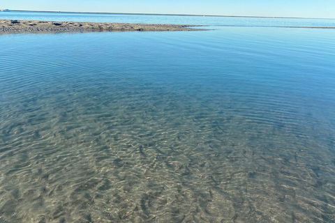 The Island Sandbar Experience - Accommodation Tasmania 4