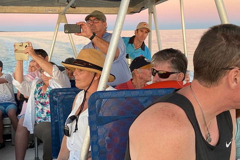 The Island Sandbar Experience - Accommodation Tasmania 3