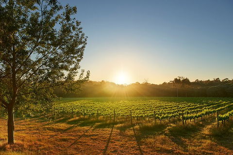 Private Barrel Hall Wine Tasting In The Margaret River Region - Accommodation Tasmania 3