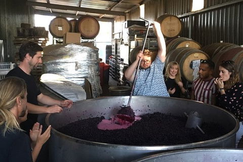 Margaret River Beer & Wine Adventure (departs Margaret River) - Accommodation Tasmania 10