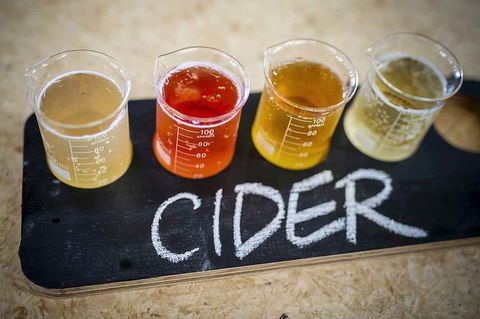 Bickley Valley Wine & Cider Tour - Premium Small Group Tour - Accommodation Tasmania 1