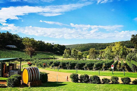 Bickley Valley Wine & Cider Tour - Premium Small Group Tour - Accommodation Tasmania 0