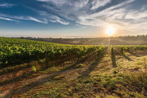 Perth To Margaret River Wine Tour - 2 Day Premium Boutique Wine Tour Experience - Accommodation Tasmania 0