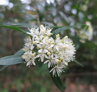 Booderee National Park - Accommodation Tasmania