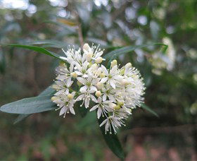 Booderee National Park - Accommodation Tasmania 0
