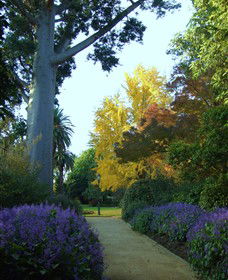 Albury Botanic Garden - Accommodation Tasmania 0
