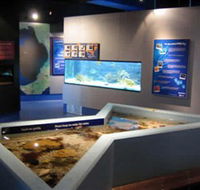 Marine and Freshwater Discovery Centre - Accommodation Tasmania