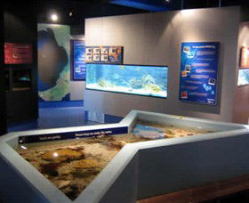 Marine And Freshwater Discovery Centre - Accommodation Tasmania 0