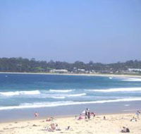 Mollymook Surf Beach - Accommodation Tasmania