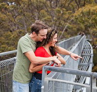 Valley of the Giants Tree Top Walk - Accommodation Tasmania