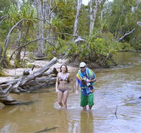 Tjuwaliyn / Douglas Hot Springs Park - Accommodation Tasmania