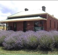 Lavender House in Railway Park - Accommodation Tasmania