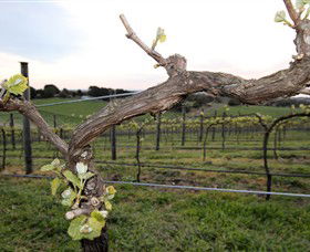 Nalbra Estate Wines - Accommodation Tasmania 0
